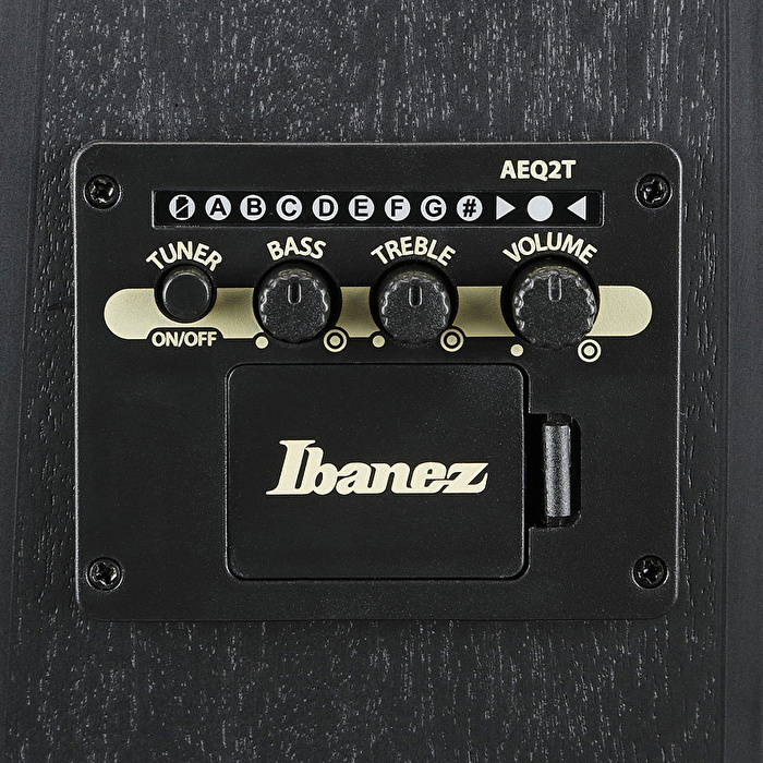 Ibanez TCY621-BOT Siyah Elektro Akustik Gitar
